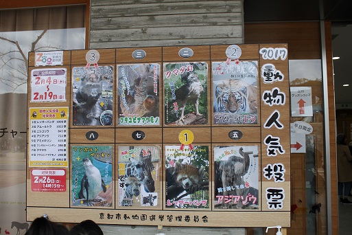 動物人気投票１位結果発表 京都市動物園