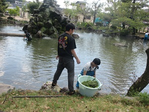 噴水池のアオミドロ問題 飼育員ブログ ブログ 京都市動物園