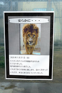 ナイル近況 最終回 京都市動物園